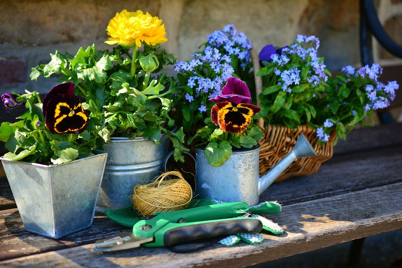                               Die 10 beliebtesten Frühlingsblumen                             
                              