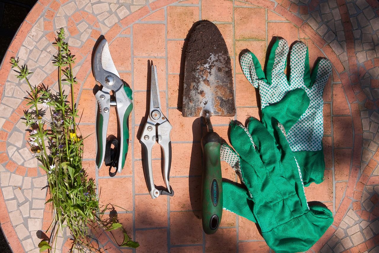                               Die wichtigsten Gartenarbeiten im Mai                             
                              