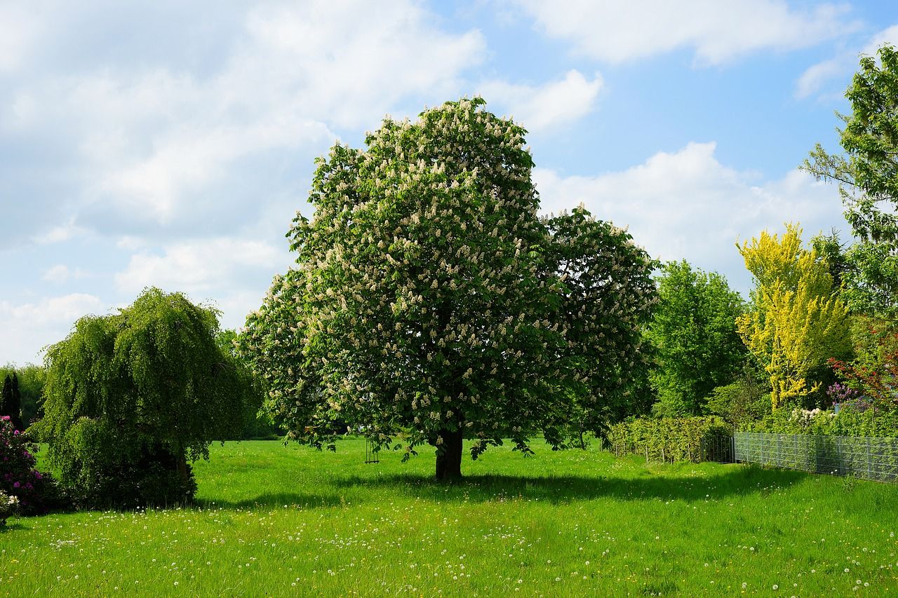 Bodengutachten bzw. Baugrundgutachten