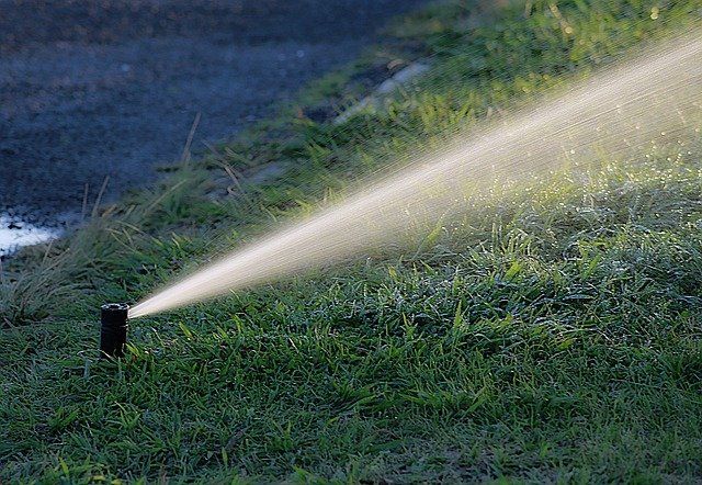 Den Garten richtig bewässern