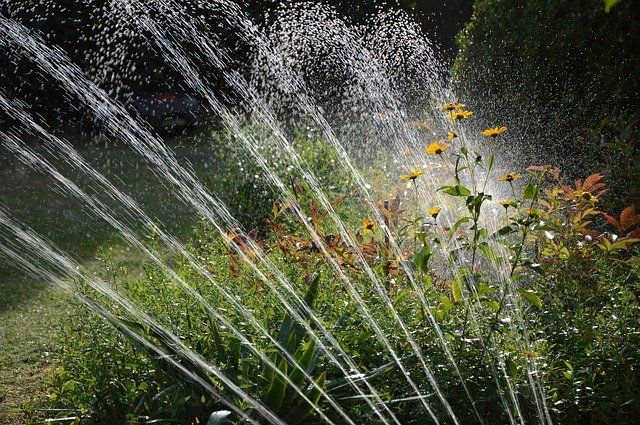 Grauwassernutzungsanlage für die Gartenbewässerung verwenden
