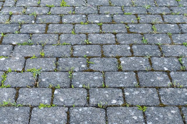 Fugensand beugt den Wachstum von Unkraut vor