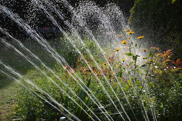 Wasserverbrauch bei der Garten Bewässerung kontrollieren
