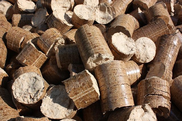 Pellets werden aus Sägemehl, Holzresten oder anderem Biomaterial hergestellt