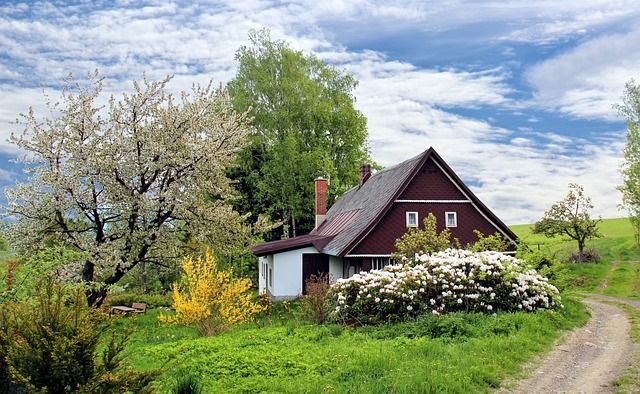                               Bäume pflanzen und pflegen: Ihr Leitfaden                             
                              