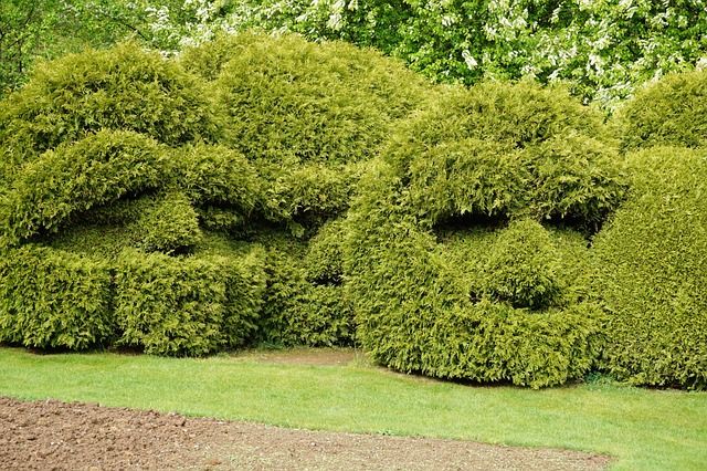 Buxbaum lässt sich sowohl in einfacher Kugelform als auch in aufwendigen Figuren hervorragend formen