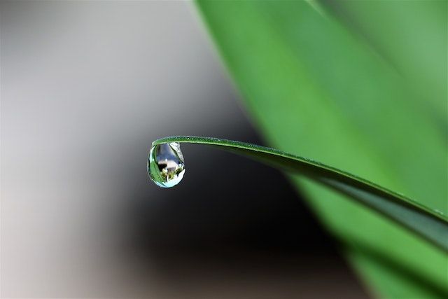 Regenwasser: Wiederverwendung im Haus und Garten