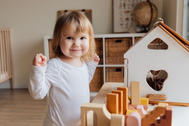                               Kleines Haus bauen: Große Anleitung für Mini-Heime                             
                              