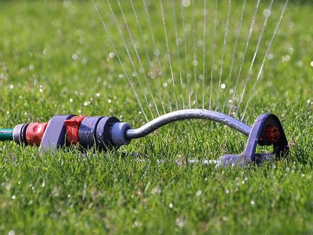 Bewässere deinen Rasen am besten früh morgens tief, um das Wasser in die Wurzeln auf 15 cm Tiefe einzubringen.