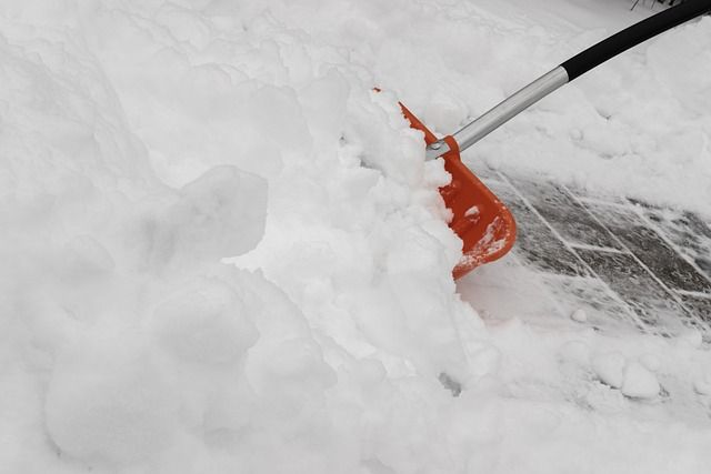 Effektiver Winterdienst: Tipps für die Hausbesitzer