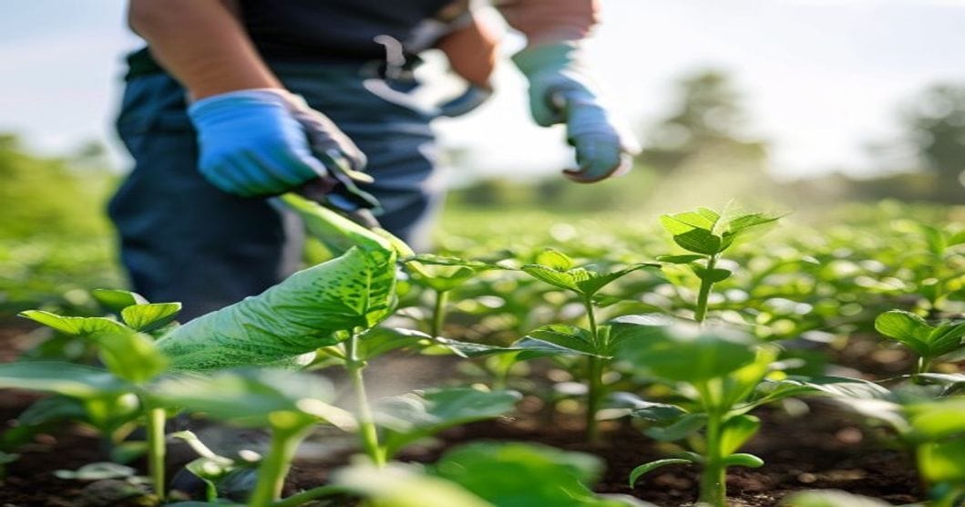 Pestizide: Wie du deinen Garten sicher hältst