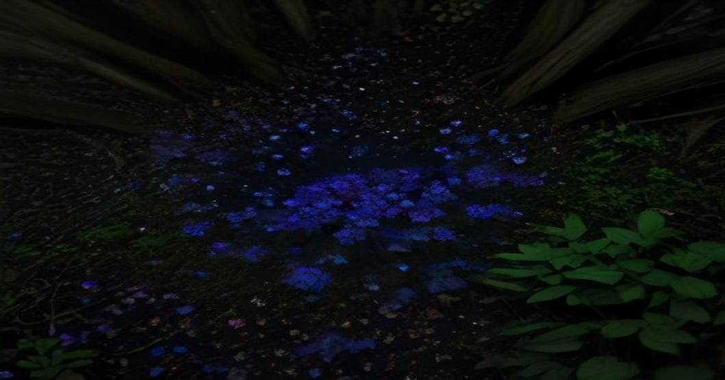 
                               Blau-violette Strahlenanemonen bilden einen Teppich unter einem kahlen Laubbaum
                              